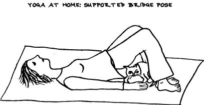 Of Feline Engineering...