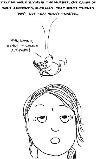 Of Things Falling From the Sky
