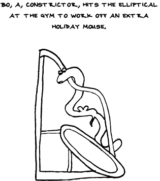 Of Not Getting Wrapped Up In The Mechanism
