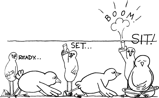 Of When Meditation Turns Competitive