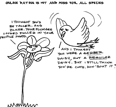 Of Daisies and Sparrows Need Love Too!