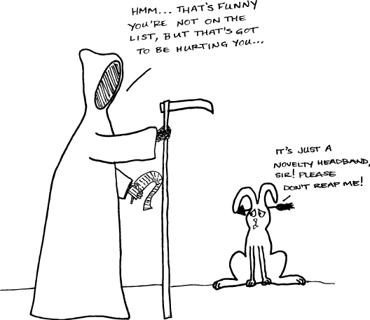 Of Death Gets to be Curious, Too