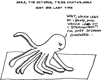 Of Chaturanga Is Not The Only Way To Flow, People!