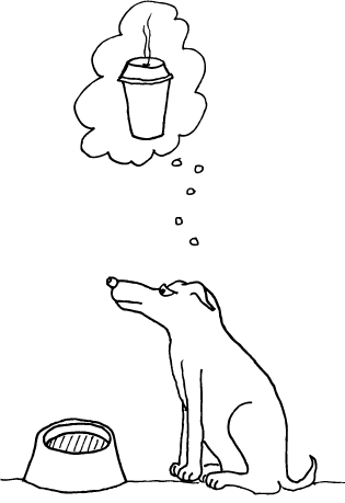 Of We All Want The Perfect Cup of Coffee