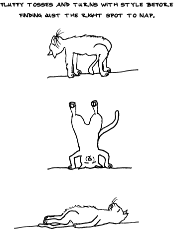Of Cat Yoga