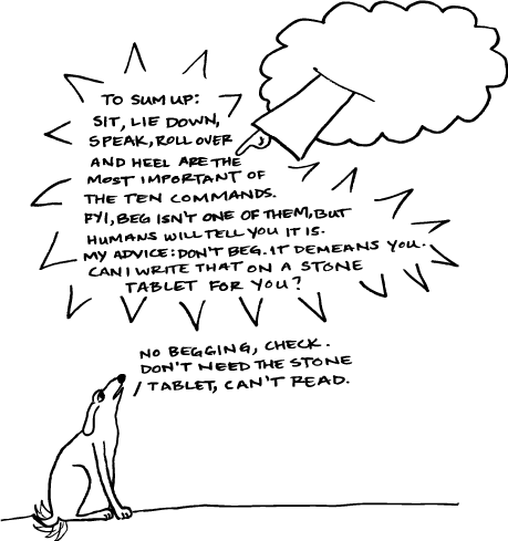 Of Seriously, What's With Making Dogs Beg?