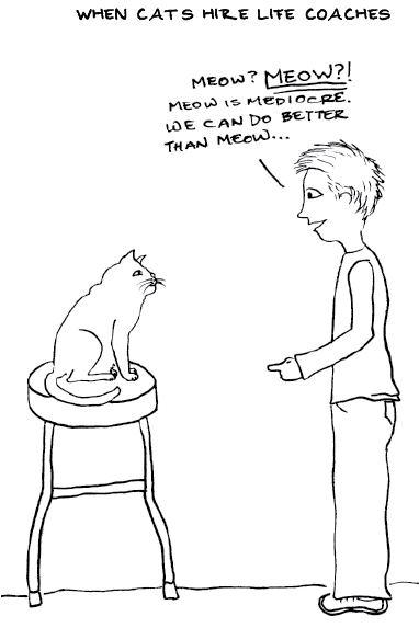 Of Cat Could Outsmart That Dude in a Second